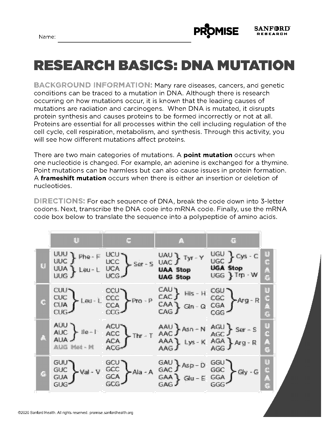 from dna to protein worksheet