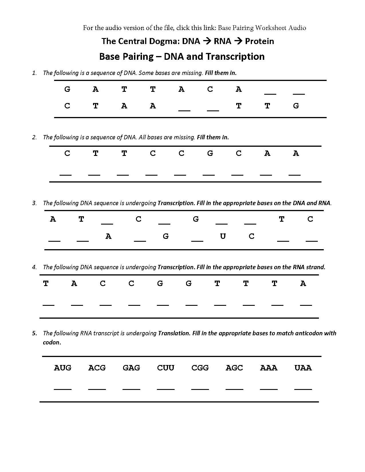 from dna to protein worksheet