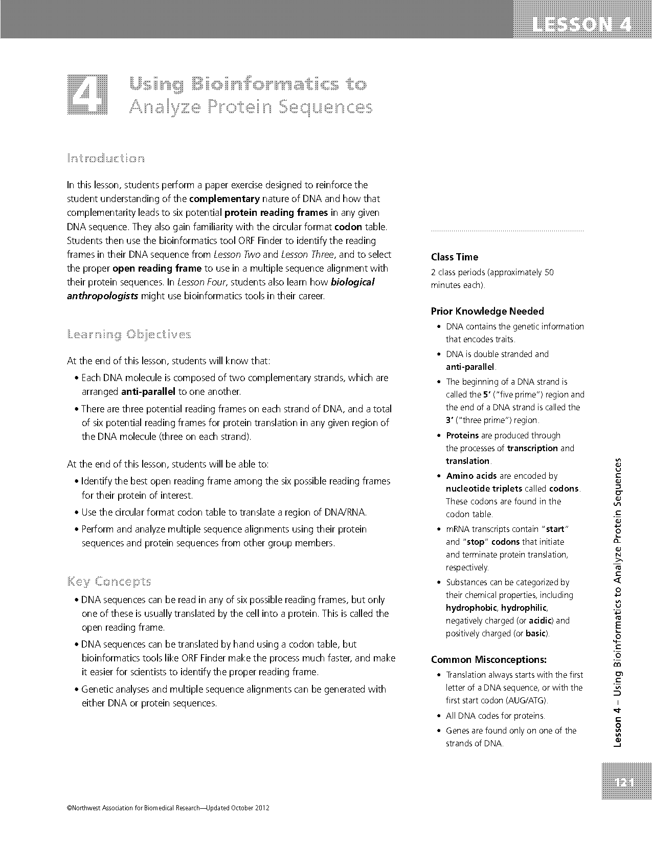 from dna to protein worksheet