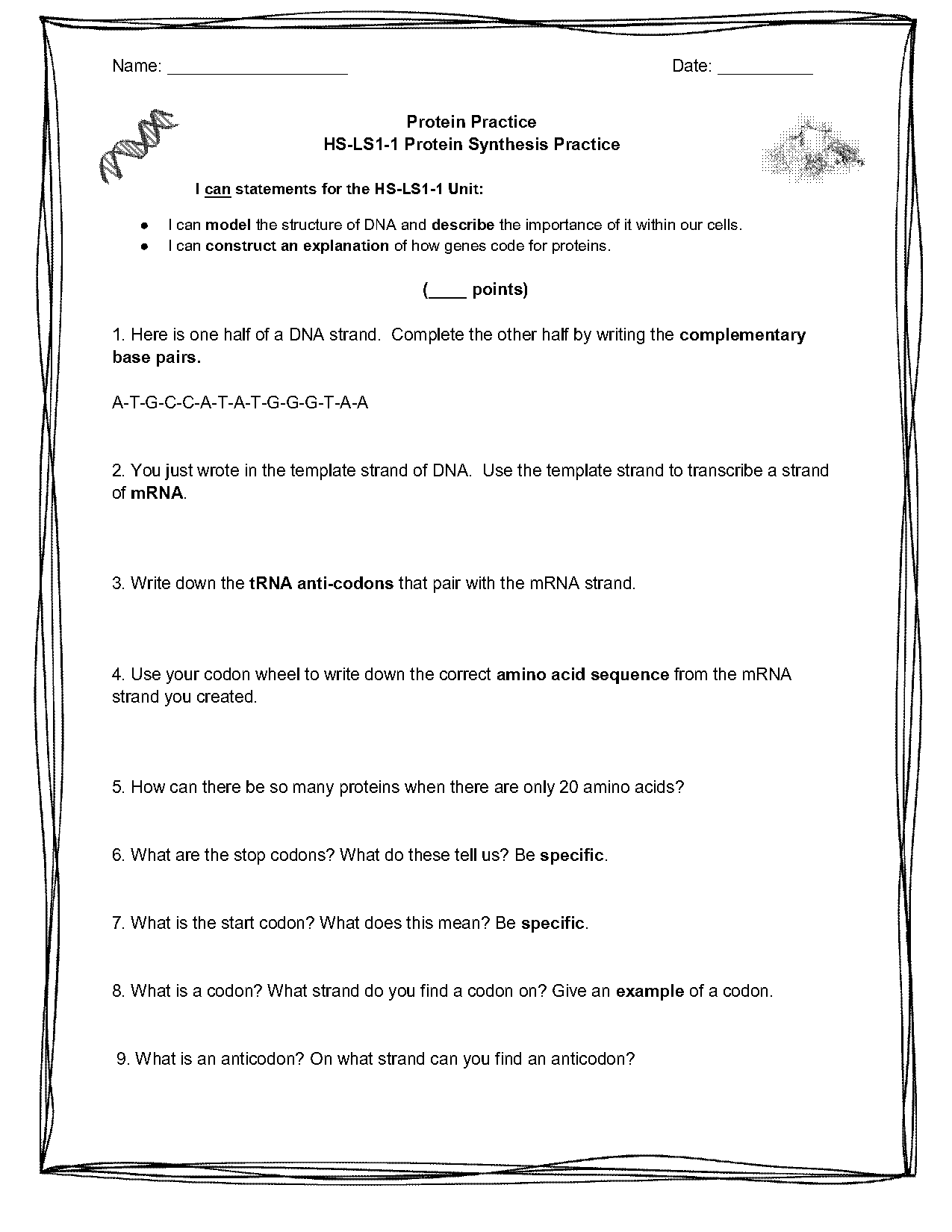 from dna to protein worksheet